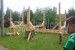 Pergola z modřínu 1